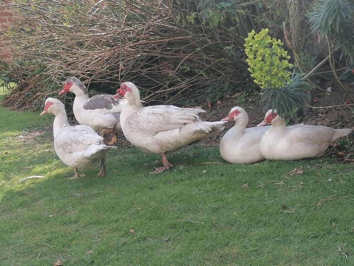 Bed and Breakfast Clumber Lane End Farm Worksop Esterno foto