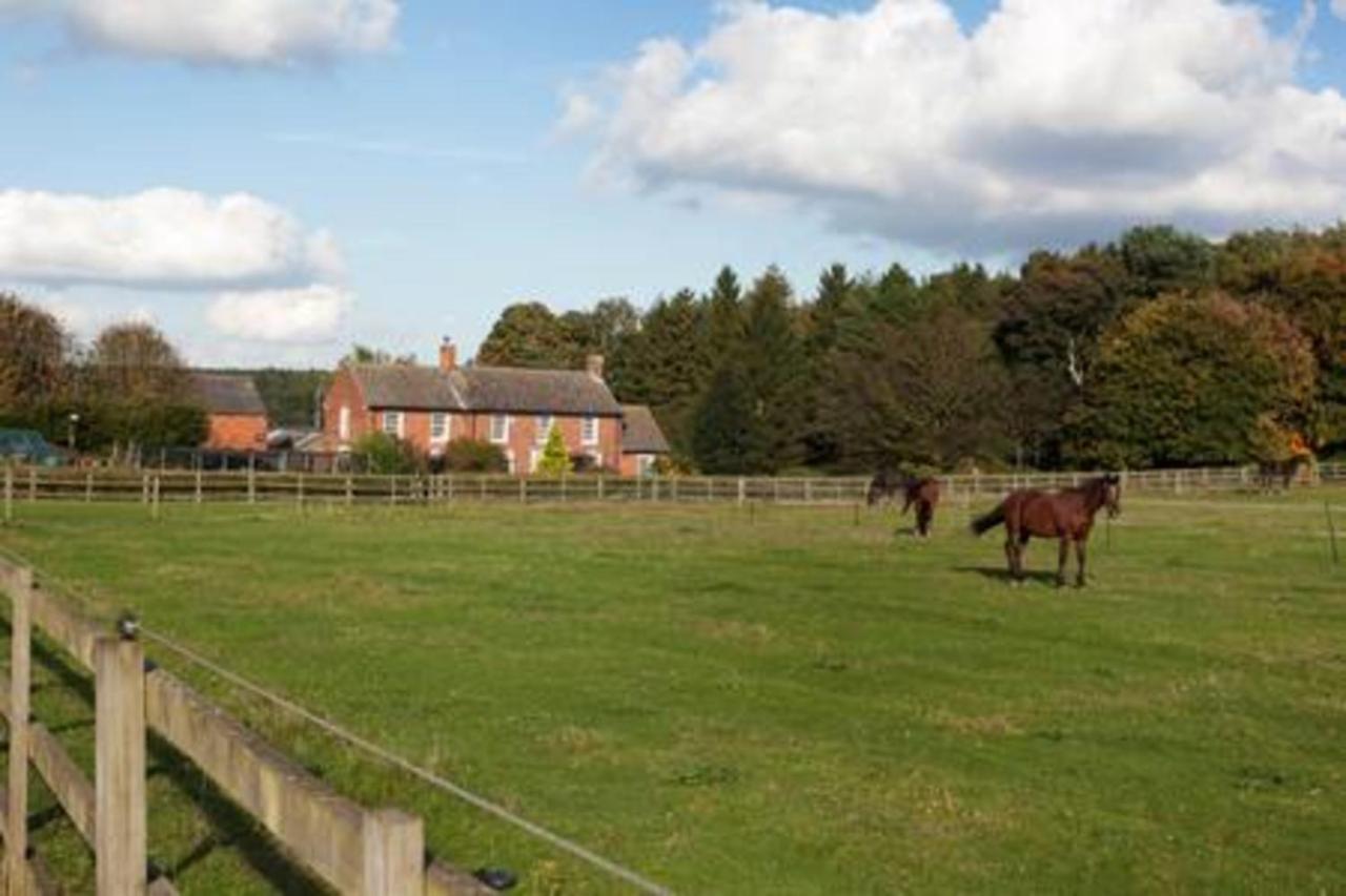 Bed and Breakfast Clumber Lane End Farm Worksop Esterno foto